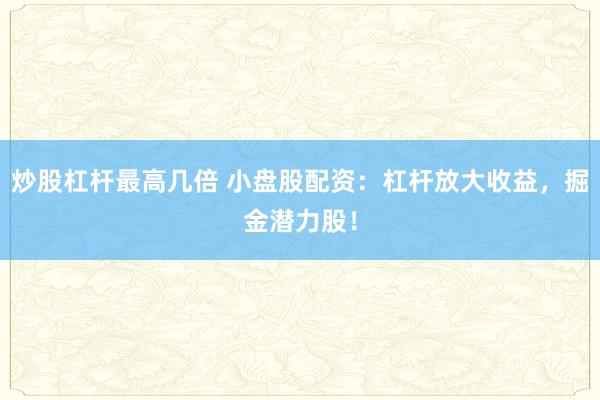 炒股杠桿最高幾倍 小盤股配資：杠桿放大收益，掘金潛力股！