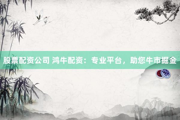 股票配資公司 鴻牛配資：專業(yè)平臺，助您牛市掘金