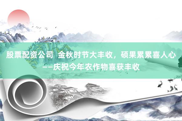 股票配資公司  金秋時節(jié)大豐收，碩果累累喜人心——慶祝今年農(nóng)作物喜獲豐收