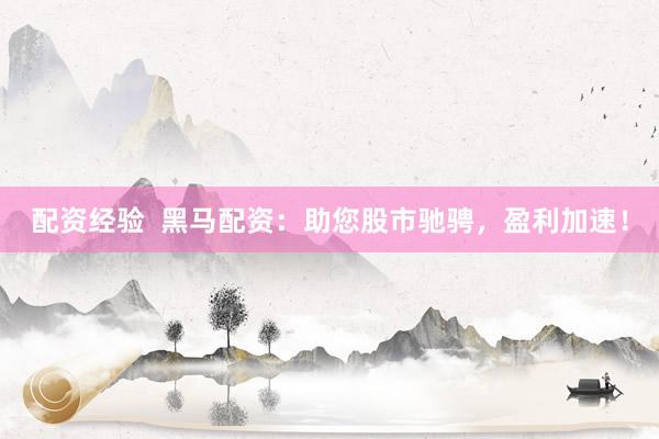 配資經驗  黑馬配資：助您股市馳騁，盈利加速！