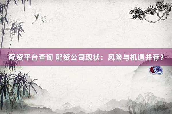 配資平臺查詢 配資公司現(xiàn)狀：風險與機遇并存？
